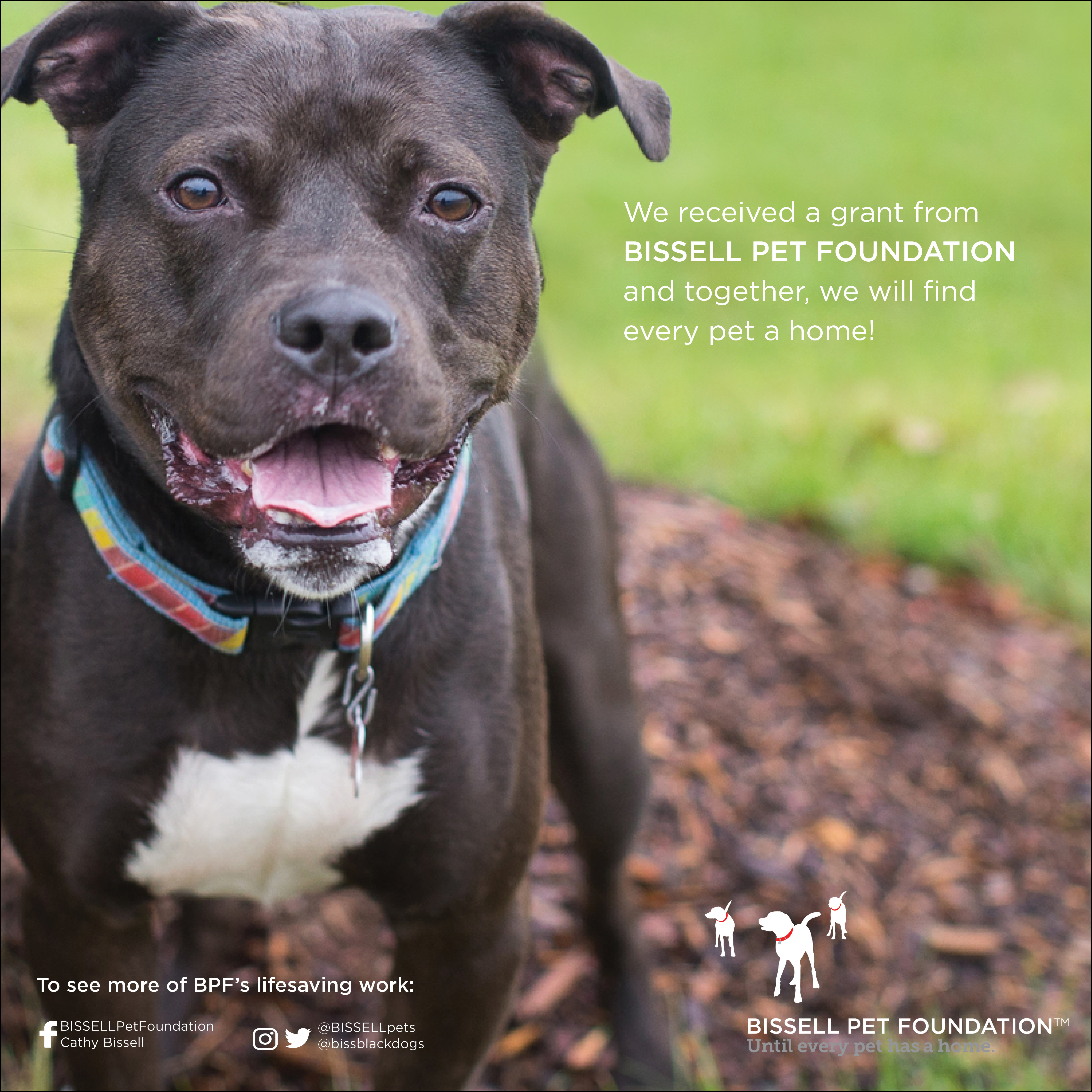 Bissell-grant-dog.jpg