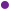 Bullet-_purple.gif