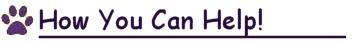 How You Can Help! How You Can Help!